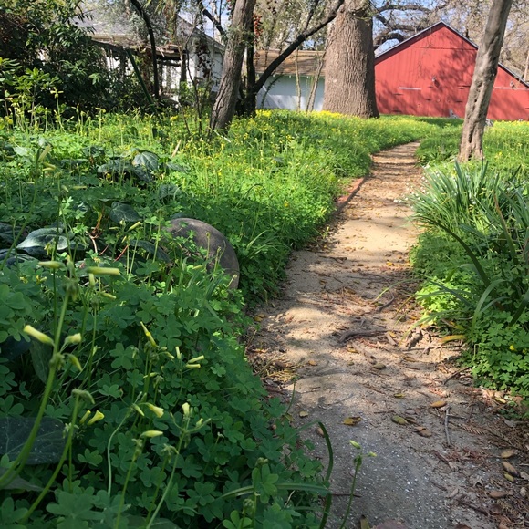 Values when Purchasing - Picture 4 of 5